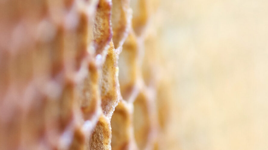 Honeycomb closeup